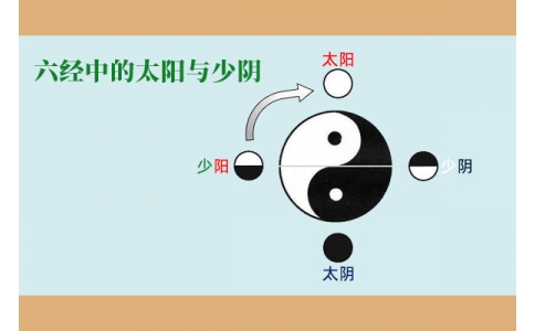 中醫(yī)基礎(chǔ)—六經(jīng)中的太陽與少陰含義！